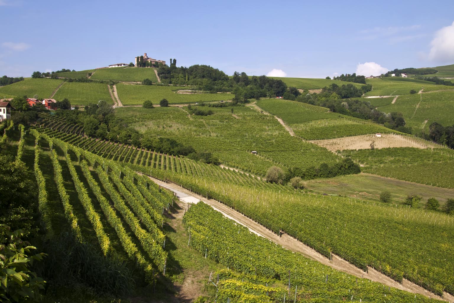 Paesaggio del Monferrato